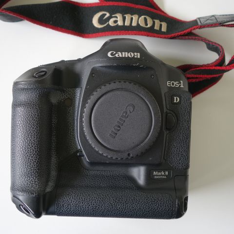 Canon EOS-1 D Mk 2