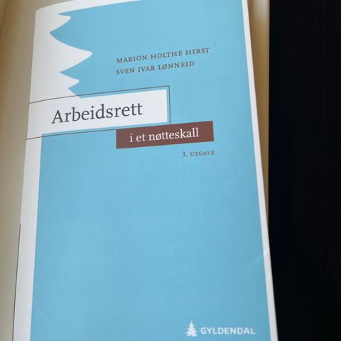 Arbeidsrett i et nøtteskall, 3. utgave