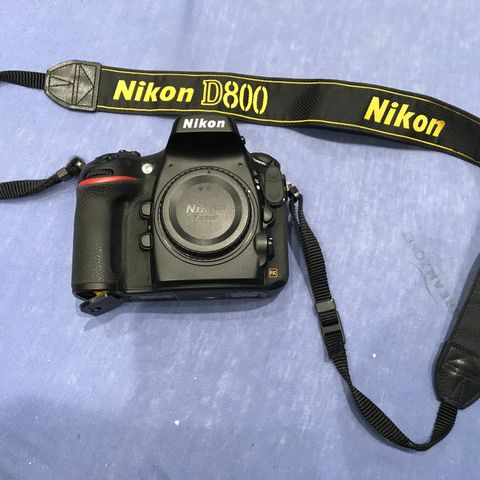Nikon D 800 hus