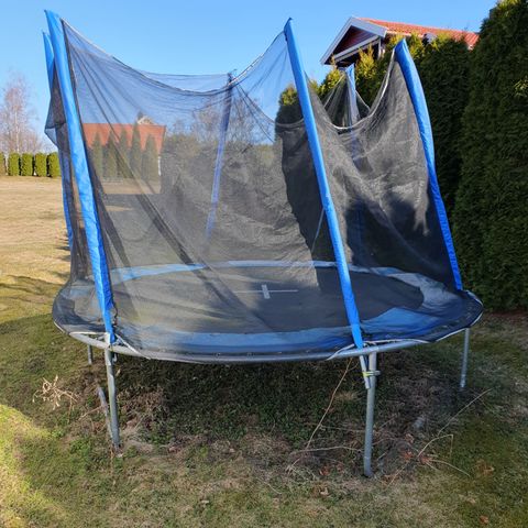 Trampoline