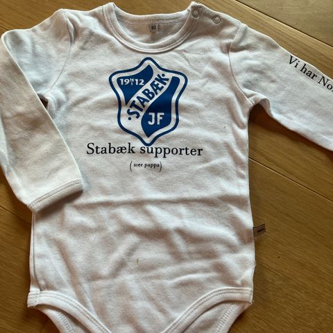 Stabæk supporter body