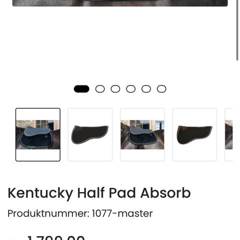 Kentucky half pad absorb