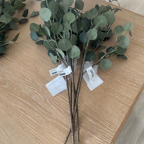 SMYCKA eucalyptus kvister