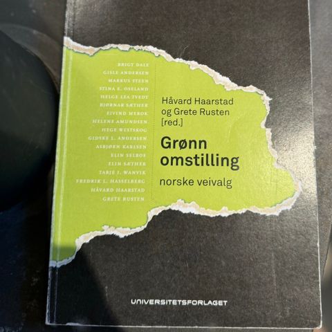 Grønn omstilling