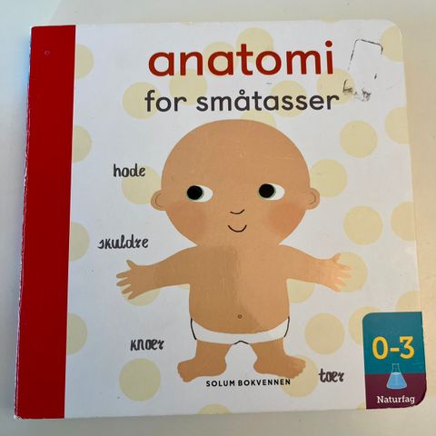 Anatomi for småtasser barnebok