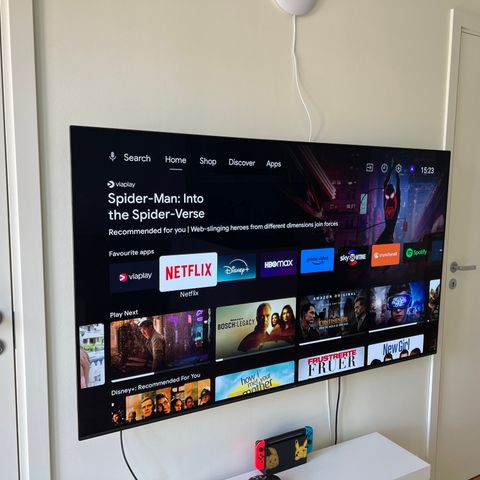 SONY OLED 65 (KD65AG8)