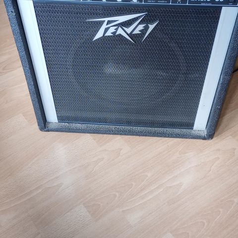 Peavey Basic 60