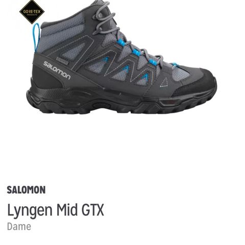 Salomon Lyngen tursko str 41 1/3 ønskes kjøpt