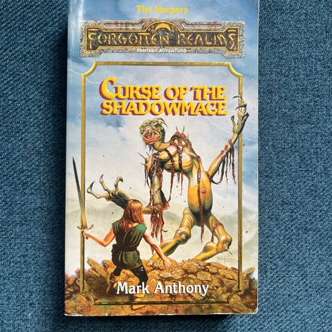 Forgotten Realms: Curse of the Shadowmage