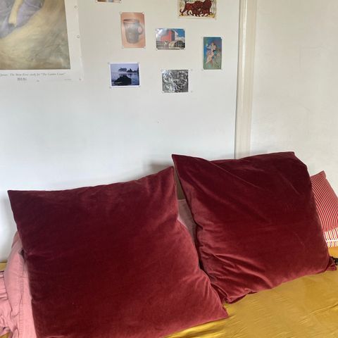 Two big cotton burgundy velvet real down pillows