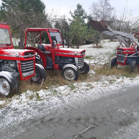 Massey Ferguson deler