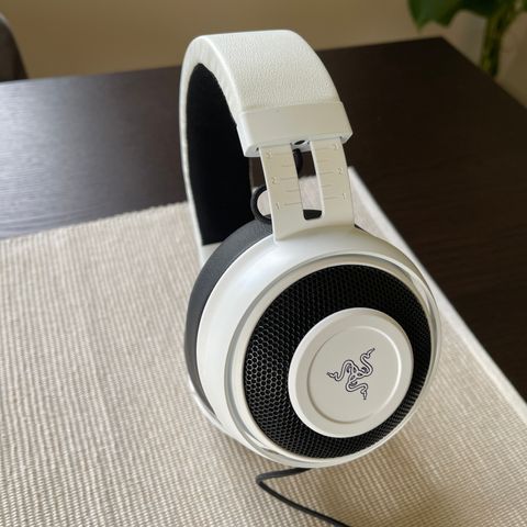 Razer Kraken Headset