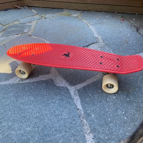 Skateboard nybegynner