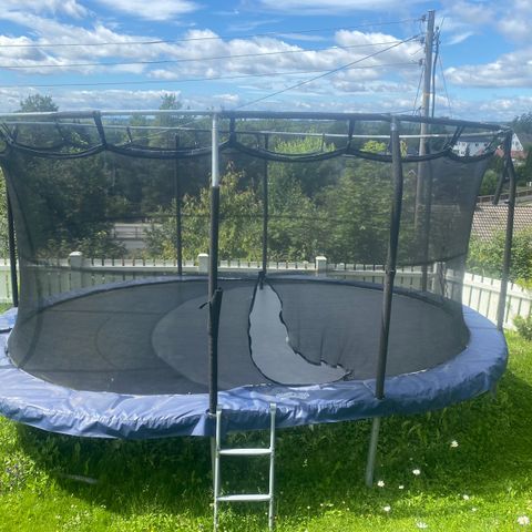 Jumpking trampoline oval