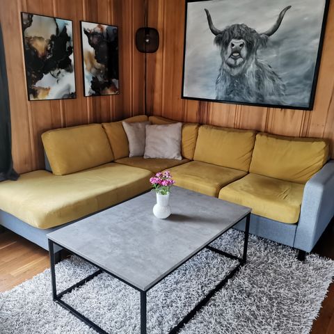 Nydelig velour sofa