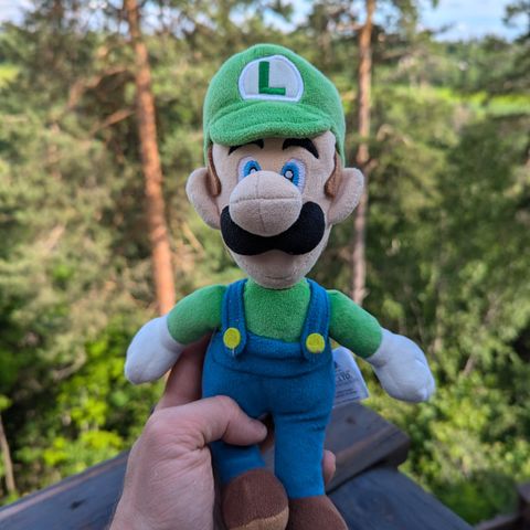 Luigi bamse