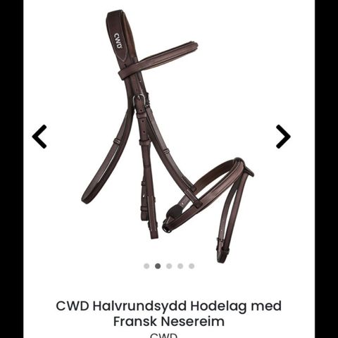 CWD hodelag