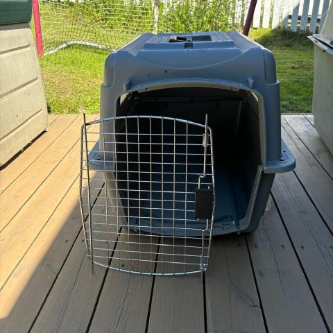 Sky Kennel Transportbur XXL - selges rimelig