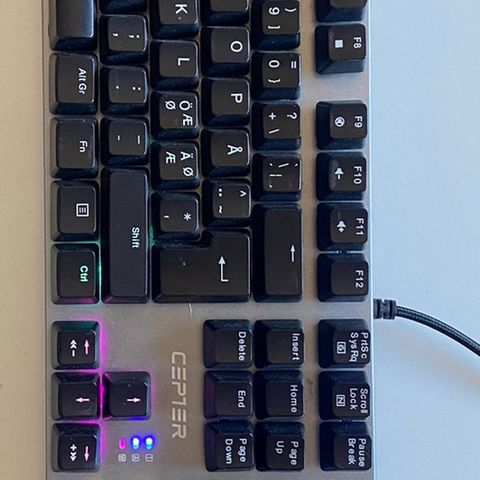 Cepter Legacy gamingtastatur og cepter gamingmus (nesten ubrukt)