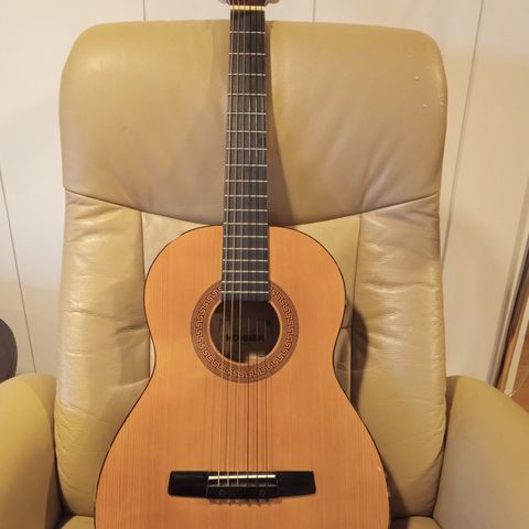 Gitar