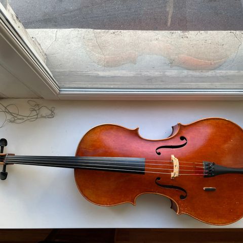 Cello - ZQC, 3/4 størrelse