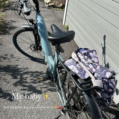 RESERVERT Buddy Bike D1 inkl dobbel sykkelvogn, vinterdekk og bagasjebag