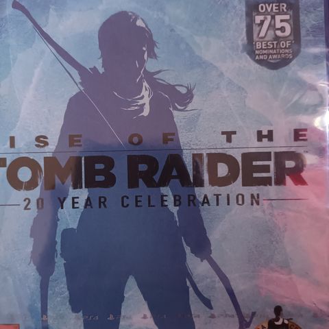 Rise of the tomb raider,playstaion 4