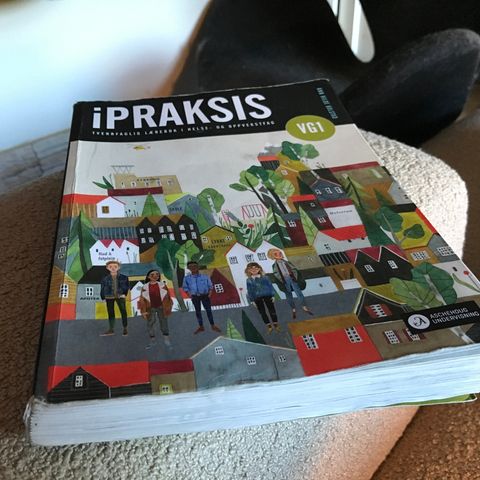 iPraksis Vg 1