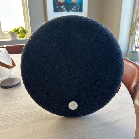 Libratone Loop