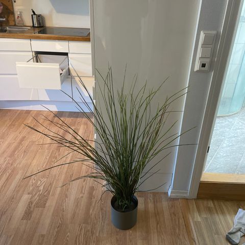IKEA fejka kunstig plante - må hentes i dag 26.