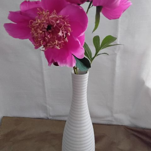 IKEA CLASSIC Hvit porselen vase