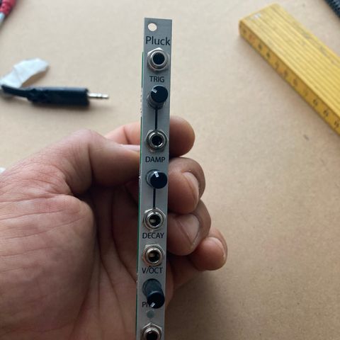 2hp pluck eurorack synth modul