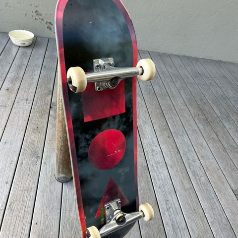 Globe Skateboard