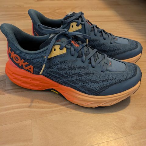 Hoka speedgoat 5