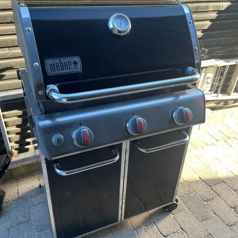 Weber Genesis