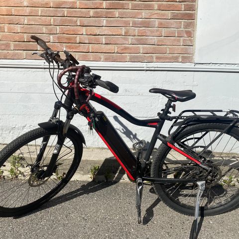 Buddy bike M2