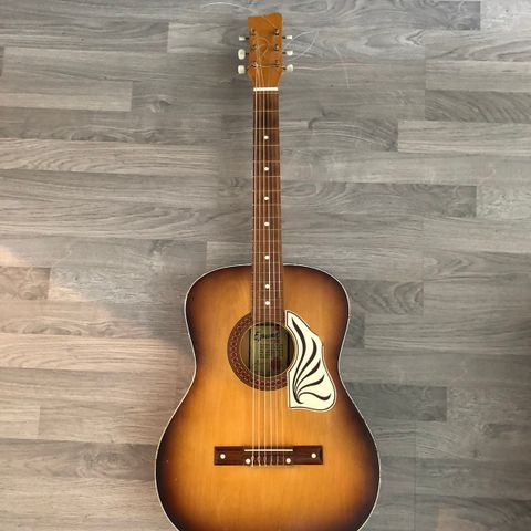 Egmond gitar