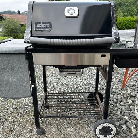 Weber Genesis Silver - Gassgrill