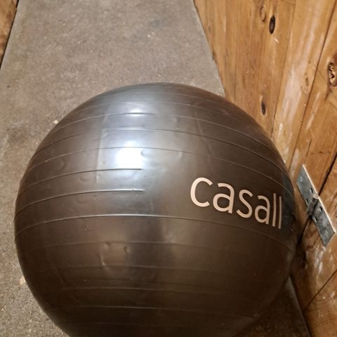 Casall Pilatesball