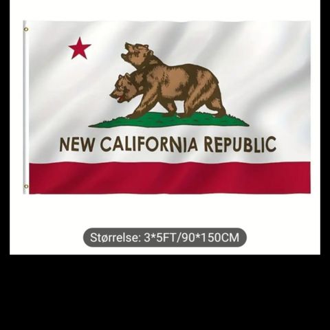 Fallout -flagg -The New California Republic (NCR)