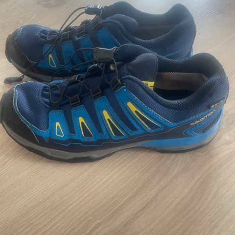 Salomon Goretex sko