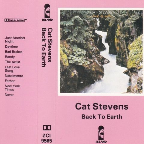 Cat Stevens Back to earth