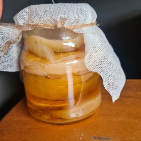 Kombucha startervæske og scoby