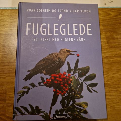 Fugleglede