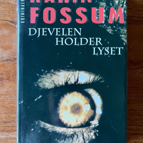 Djevelen holder lyset - Karin Fossum