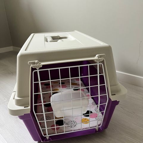 PET carrier