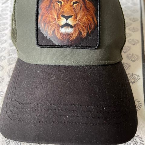 Løve caps