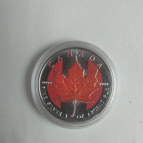Canada 5 dollars 1999 1 oz Silver Maple Leaf
