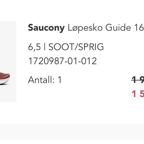 Saucony Guide 16