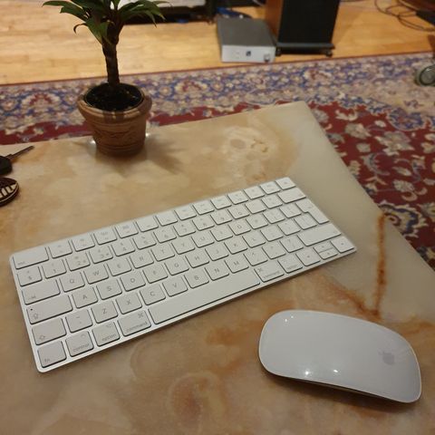 Magic mouse Apple + keyboard mack mini and other